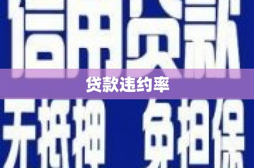 武进贷款违约率