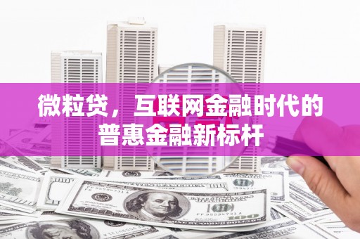 武进微粒贷，互联网金融时代的普惠金融新标杆