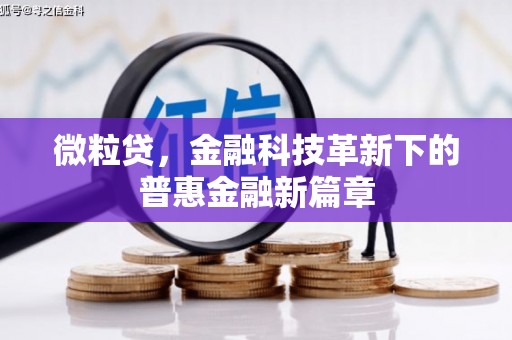 武进微粒贷，金融科技革新下的普惠金融新篇章