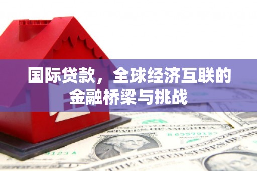 武进国际贷款，全球经济互联的金融桥梁与挑战
