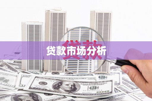 武进贷款市场分析