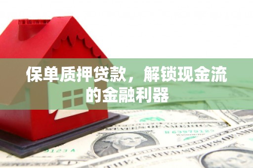 武进保单质押贷款，解锁现金流的金融利器