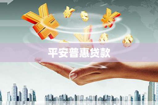 武进平安普惠贷款