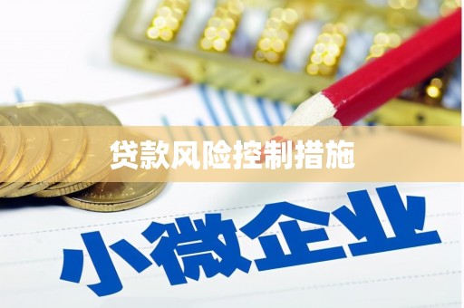 武进贷款风险控制措施