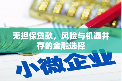 武进无担保贷款，风险与机遇并存的金融选择