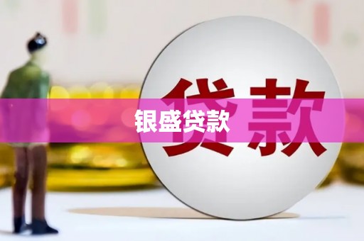 武进银盛贷款