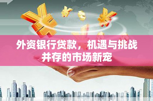 武进外资银行贷款，机遇与挑战并存的市场新宠