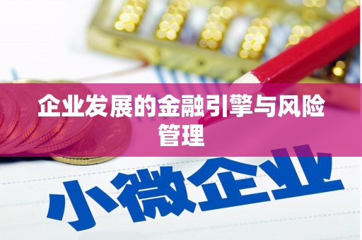 武进企业发展的金融引擎与风险管理