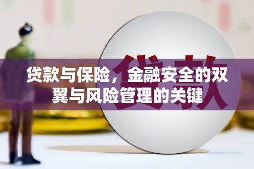 武进贷款与保险，金融安全的双翼与风险管理的关键
