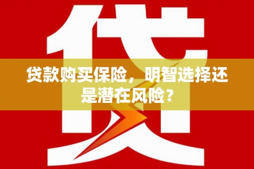 武进贷款购买保险，明智选择还是潜在风险？