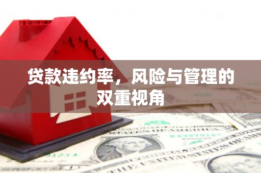 武进贷款违约率，风险与管理的双重视角