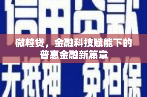 武进微粒贷，金融科技赋能下的普惠金融新篇章