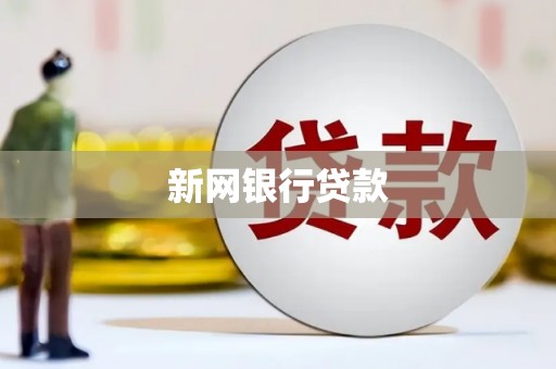 武进新网银行贷款