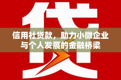 武进信用社贷款，助力小微企业与个人发展的金融桥梁