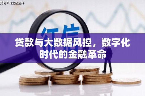 武进贷款与大数据风控，数字化时代的金融革命
