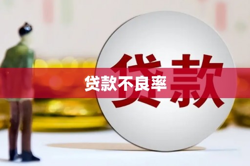 武进贷款不良率