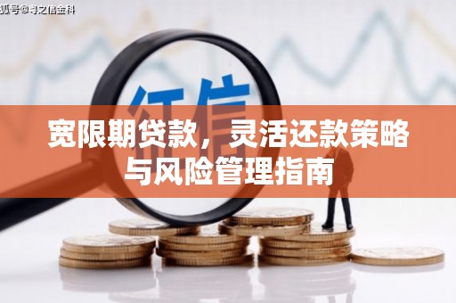 武进宽限期贷款，灵活还款策略与风险管理指南