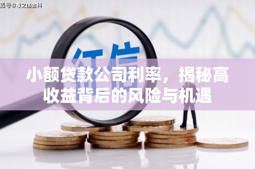 武进小额贷款公司利率，揭秘高收益背后的风险与机遇