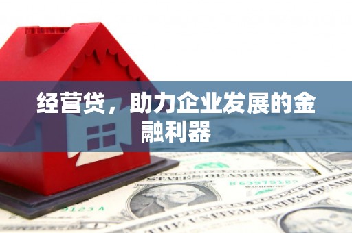 武进经营贷，助力企业发展的金融利器