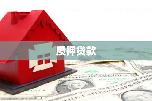 武进质押贷款