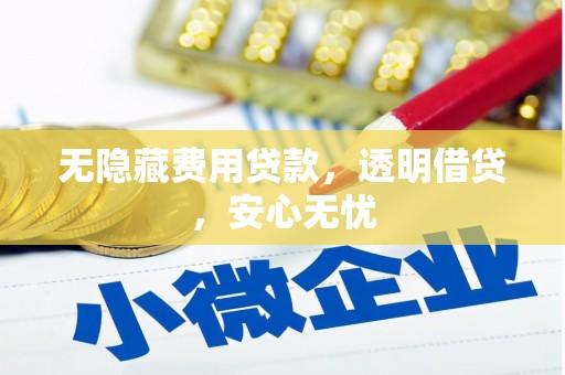 武进无隐藏费用贷款，透明借贷，安心无忧