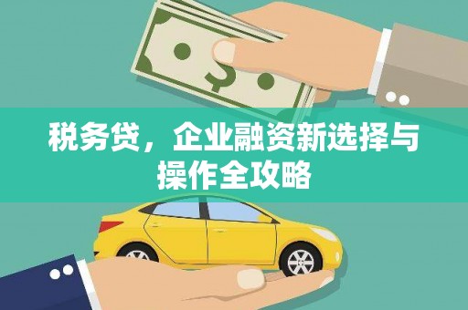 武进税务贷，企业融资新选择与操作全攻略
