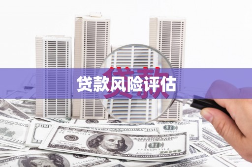 武进贷款风险评估