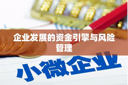 武进企业发展的资金引擎与风险管理