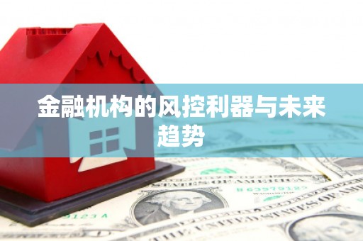 武进金融机构的风控利器与未来趋势