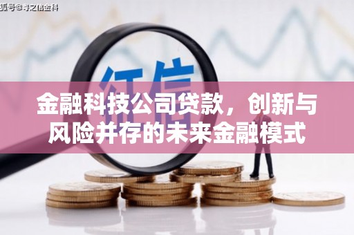 武进金融科技公司贷款，创新与风险并存的未来金融模式