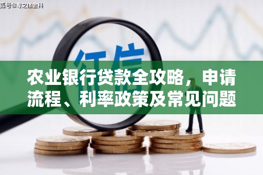 武进农业银行贷款全攻略，申请流程、利率政策及常见问题解析