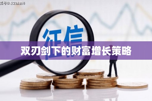 武进双刃剑下的财富增长策略