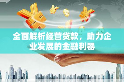 武进全面解析经营贷款，助力企业发展的金融利器