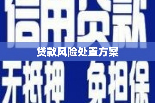 武进贷款风险处置方案