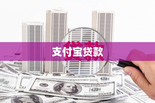 武进支付宝贷款