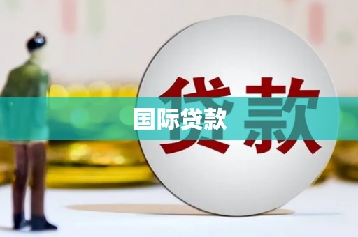 武进国际贷款