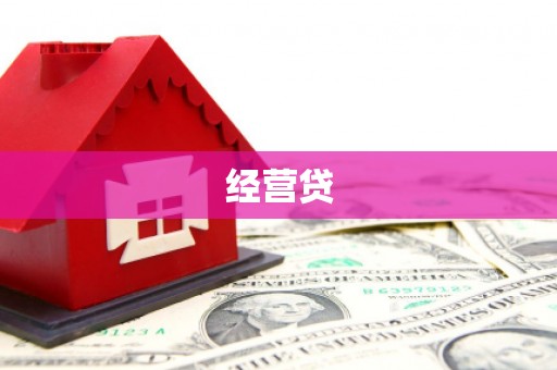 武进经营贷