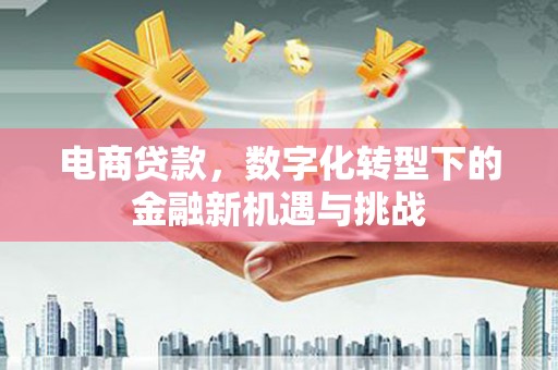 武进电商贷款，数字化转型下的金融新机遇与挑战
