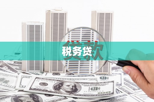 武进税务贷