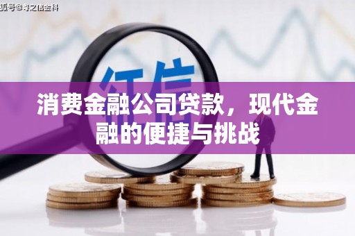 武进消费金融公司贷款，现代金融的便捷与挑战
