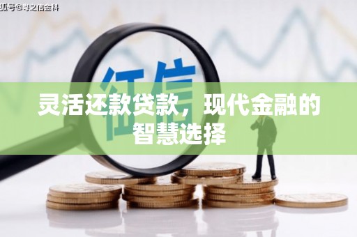 武进灵活还款贷款，现代金融的智慧选择