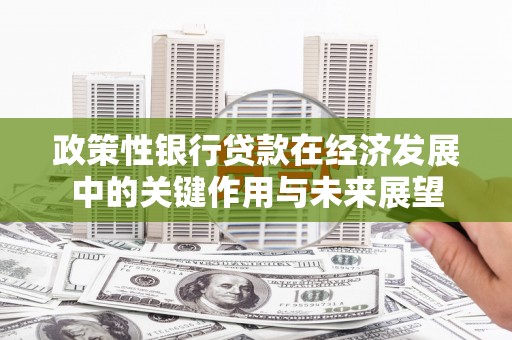 武进政策性银行贷款在经济发展中的关键作用与未来展望