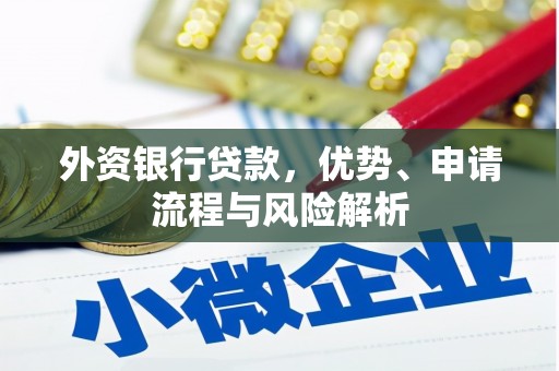 武进外资银行贷款，优势、申请流程与风险解析