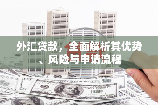 武进外汇贷款，全面解析其优势、风险与申请流程