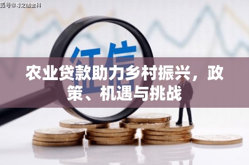 武进农业贷款助力乡村振兴，政策、机遇与挑战