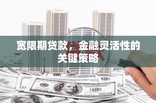武进宽限期贷款，金融灵活性的关键策略