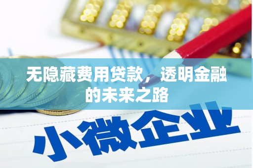 武进无隐藏费用贷款，透明金融的未来之路