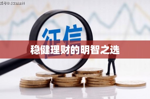 武进稳健理财的明智之选