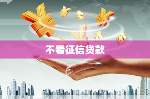 武进不看征信贷款