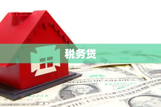 武进税务贷